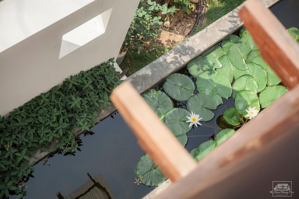 The Home Chiangmai Luxury Guesthouse チエンマイ エクステリア 写真