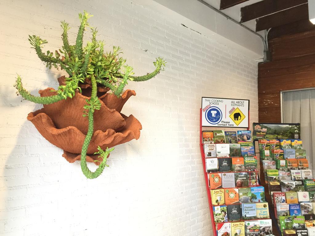 The Home Chiangmai Luxury Guesthouse チエンマイ エクステリア 写真