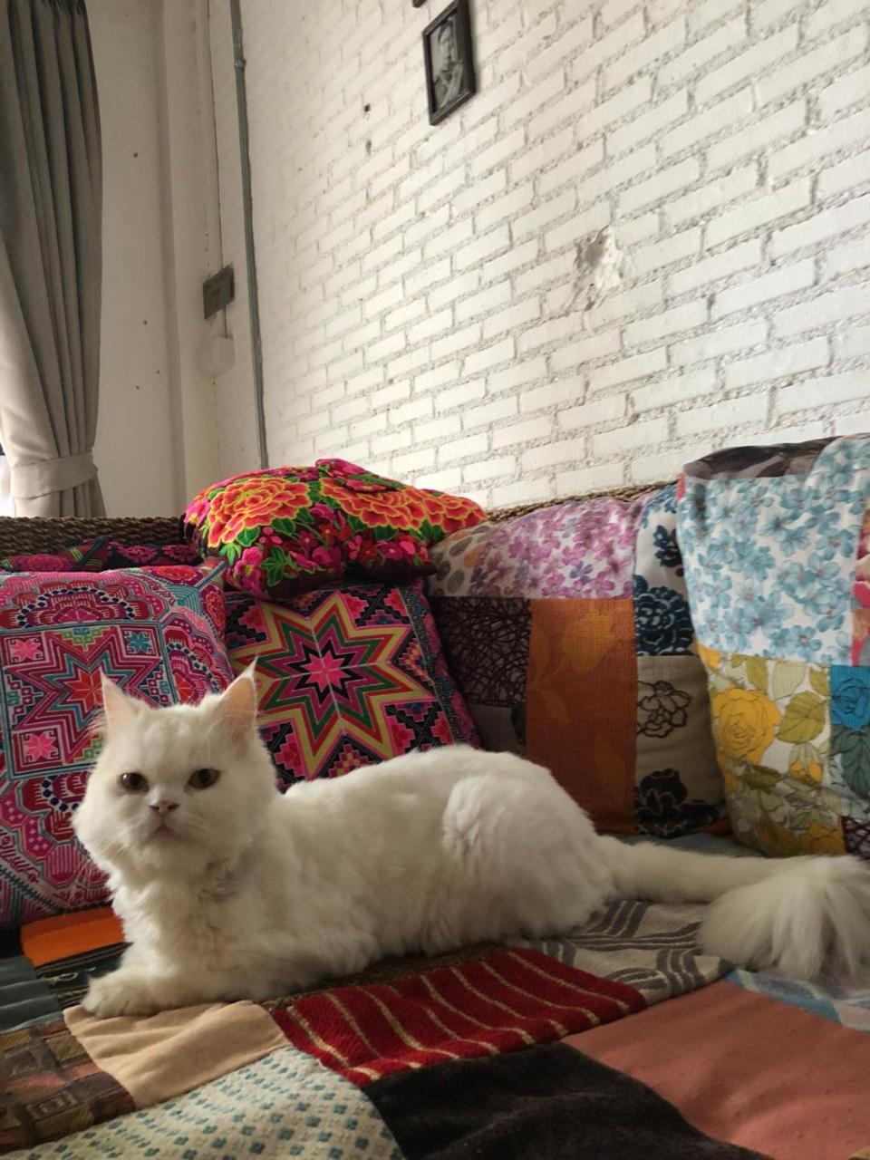 The Home Chiangmai Luxury Guesthouse チエンマイ エクステリア 写真